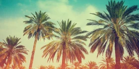 Добро пожаловать в WordPress